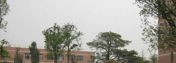 2023湖南机电职业技术学院单独招生报名条件、招生要求、招生对象