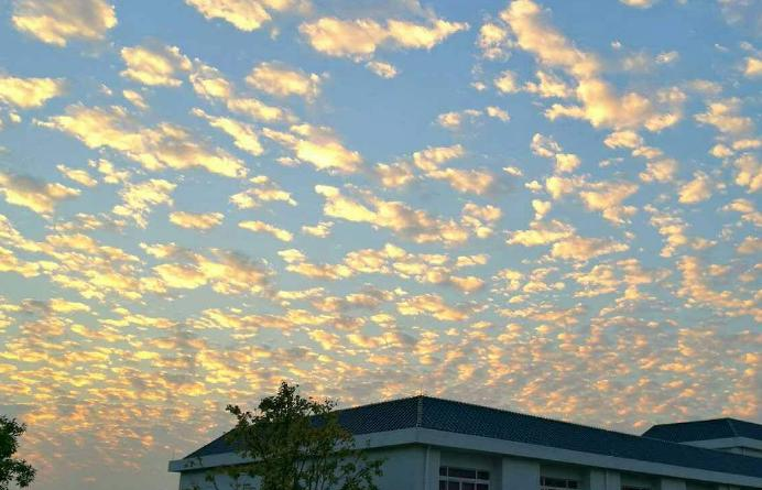 郑州青年职业中等专业学校