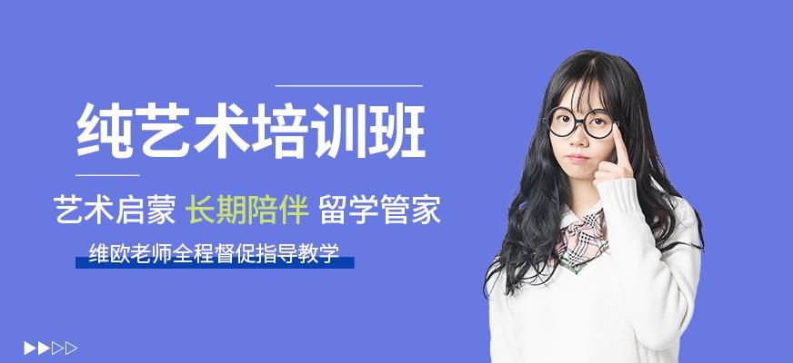 纯艺术作品集培训