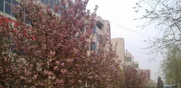 保定市徐水区职业技术教育中心2022年招生录取分数线