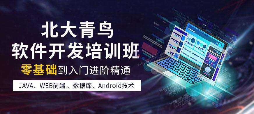 长沙软件开发培训班大图