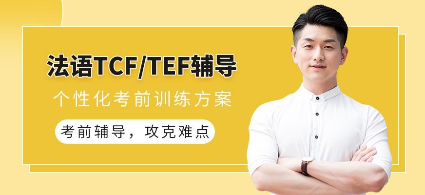 TCF/TEF考试辅导