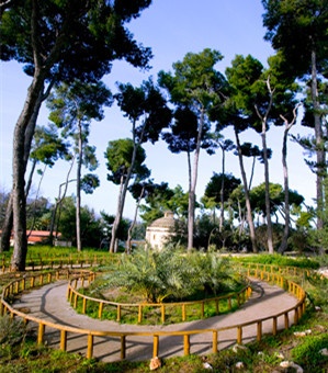 悉尼国际管理学院