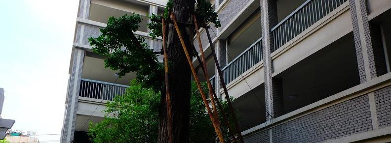 南京第三高级中学2021年招生简章