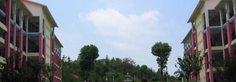 湖南外国语职业学院单招报名时间