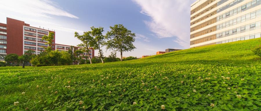 开封文化艺术职业学院