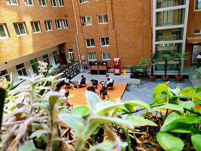 北京工商大学国际教育学院