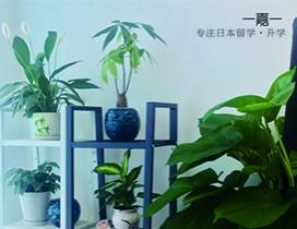 南京一嘉一留学