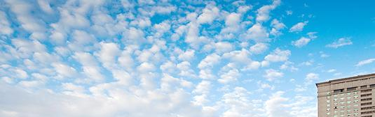 南京市外国语学校网站