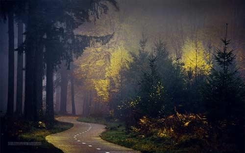 如何提高学习效率