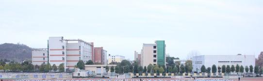 勉县武侯中学2020年招生计划