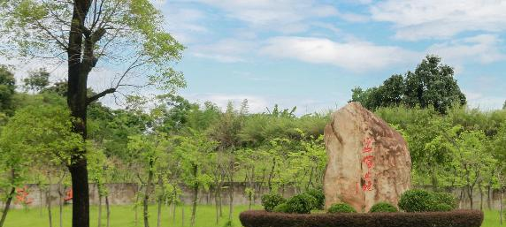 广东信息工程职业学院2020年招生办