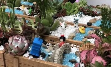 上海外国语大学Alevel课程中心新生周活动回顾