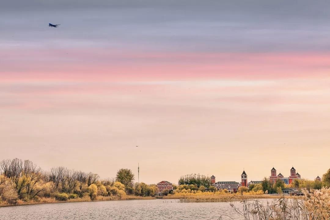 穿过雾霾 ，我们帮你留住了北京爱迪学校最美的秋景
