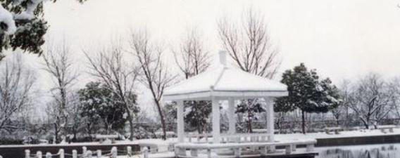 安徽工业经济职业技术学院2021年有哪些专业