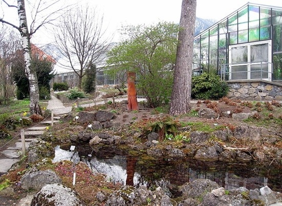 因斯布鲁克大学