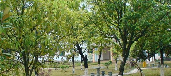 泰和中等专业学校