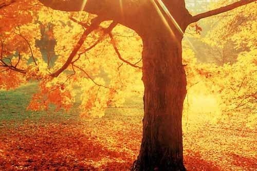 争做时代好少年爱国演讲稿