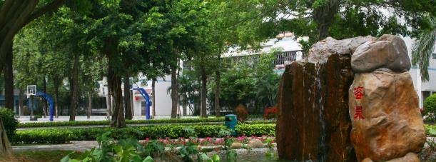 深圳石岩公学国际部高中2023年学费、收费多少