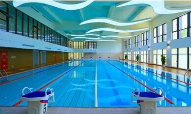 上海新纪元双语学校