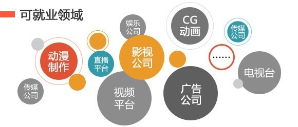 职业路上，与其观望徘徊，不如理智选择