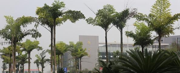 内江职业技术学院五年制大专招生计划