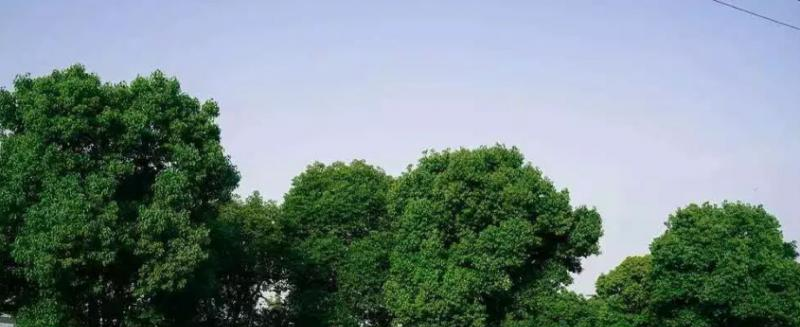 南京医科大学是几本？是985和211吗？