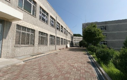 巨济大学