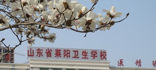 莱阳市卫生学校2022年怎么样、好不好