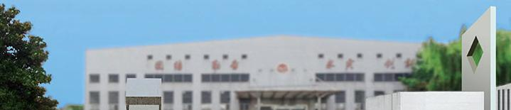 南京实验国际学校2020年学费、收费多少