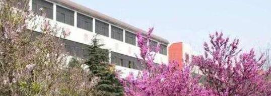 大城职教中心2022年招生录取分数线