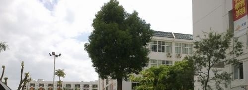 厦门兴才职业技术学院单招2019年单独招生成绩查询、入口