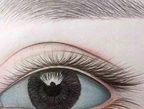 定妆眉