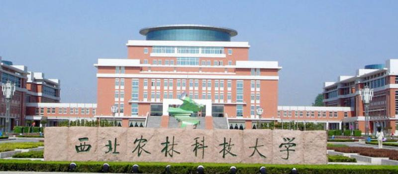 西北农林科技大学什么专业比较好(2023重点特色王牌专业名单汇总)