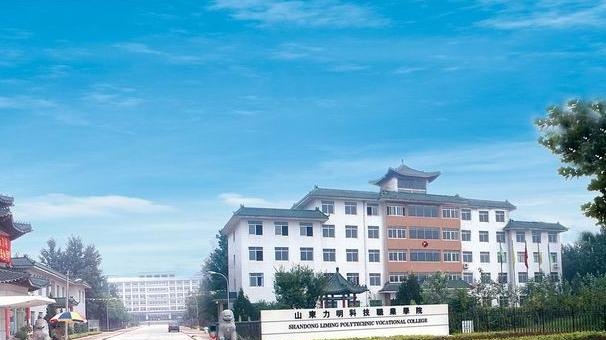 山东力明科技职业学院2020年有哪些专业