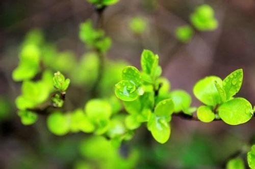 企业如何招聘核心员工