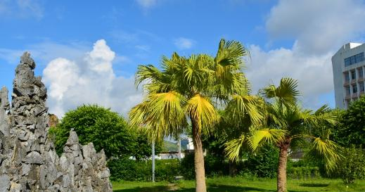 汕尾职业技术学院地址在哪里