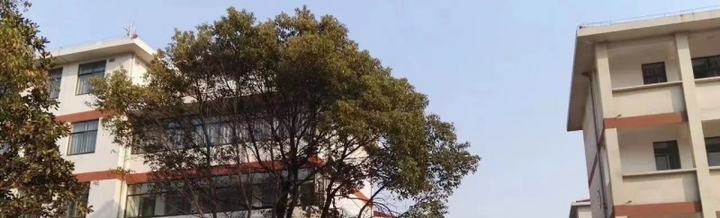 江苏淮阴中等专业学校2022年有哪些专业
