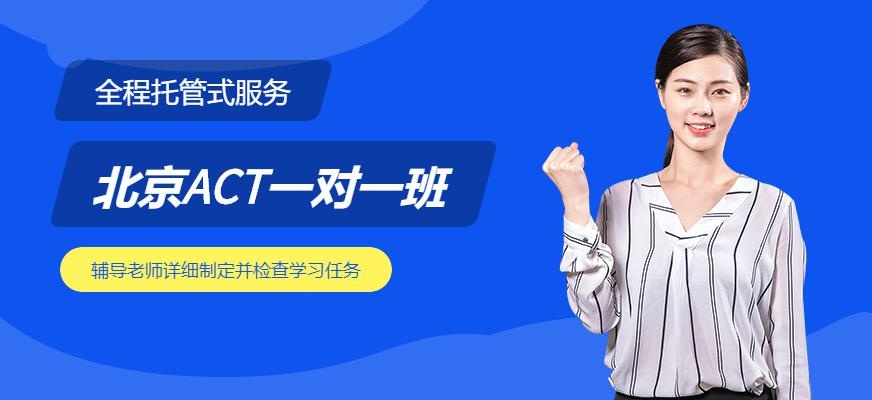 北京津桥ACT一对一班