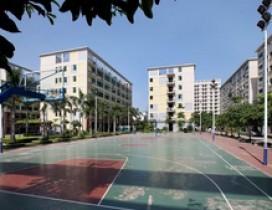 深圳飞跃巅峰篮球训练营