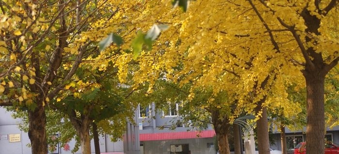 北京经济管理学校