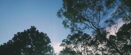 宜春幼儿师范高等专科学校2020年报名条件、招生要求、招生对象