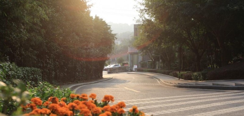 烟台城乡建设学校2021年招生录取分数线