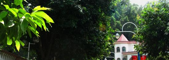 广州涉外经济职业技术学院(中专部)