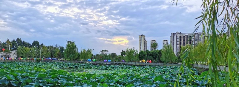 四川省兴文县职业技术学校