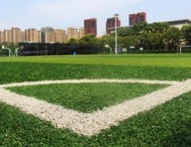 重庆拉玛足球学院