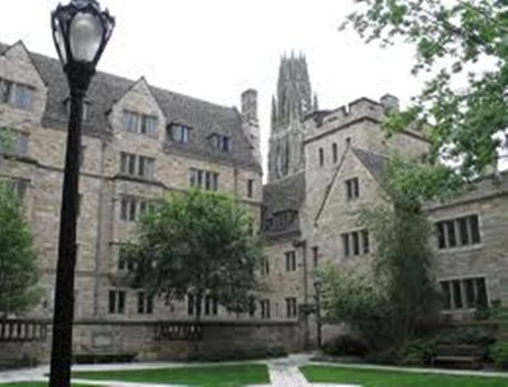 赛布鲁克大学
