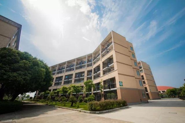 中加枫华国际学校.jpg