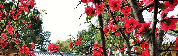 安徽林业职业技术学院是几专