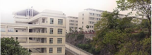 道真中学2019年学费、收费多少